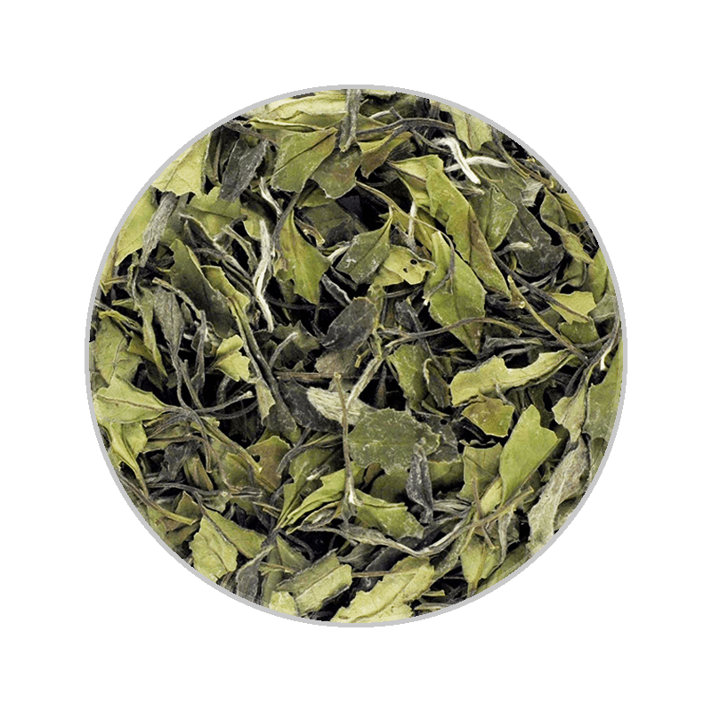Wilderness White Tea 37.5g Pouch Box with Teabags