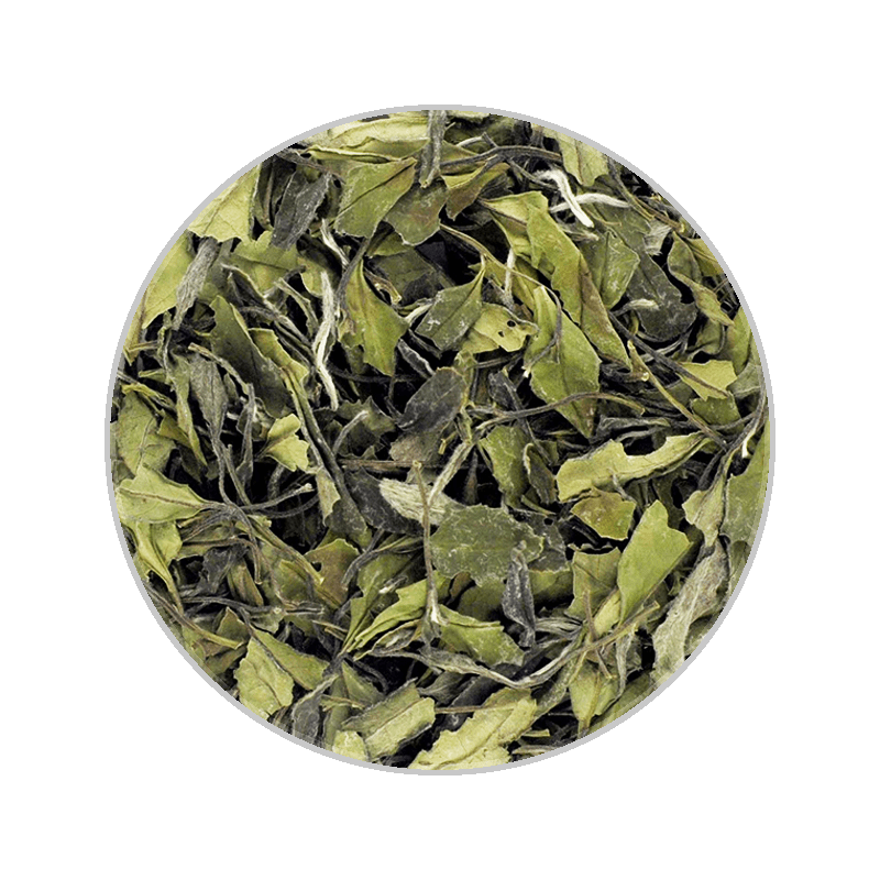 Wilderness White Tea 38g Gold Medium Tin