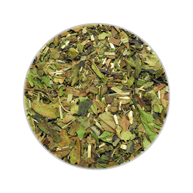 Lemon Rosemary White 37.5g Pyramid Tea Bags